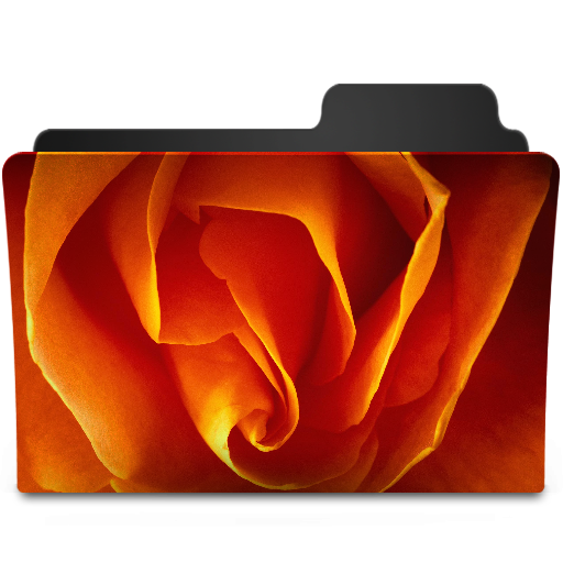 Orange Rose Icon 512x512 png